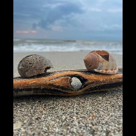Cocoa, Beach House エクステリア 写真