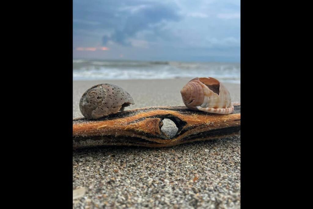 Cocoa, Beach House エクステリア 写真