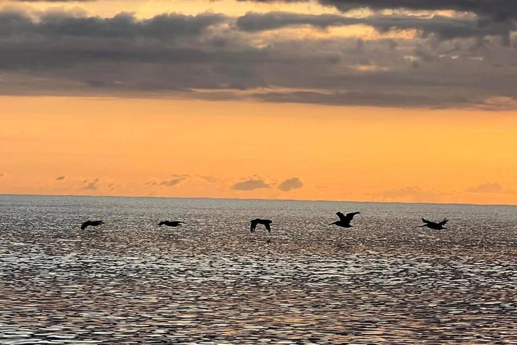 Cocoa, Beach House エクステリア 写真